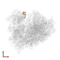 Small ribosomal subunit protein uS13 in PDB entry 6ole, assembly 1, front view.