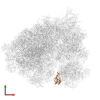 Small ribosomal subunit protein uS13 in PDB entry 6olg, assembly 1, front view.