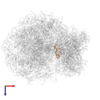 Small ribosomal subunit protein uS13 in PDB entry 6olg, assembly 1, top view.