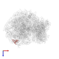 Large ribosomal subunit protein eL14 in PDB entry 6olz, assembly 1, top view.