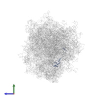 Small ribosomal subunit protein eS17 in PDB entry 6olz, assembly 1, side view.