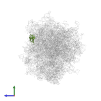 Small ribosomal subunit protein eS24 in PDB entry 6olz, assembly 1, side view.