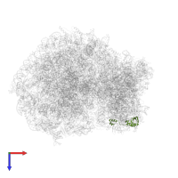 Small ribosomal subunit protein eS24 in PDB entry 6olz, assembly 1, top view.