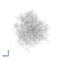 Small ribosomal subunit protein eS21 in PDB entry 6om0, assembly 1, side view.