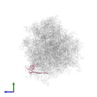 Small ribosomal subunit protein eS6 in PDB entry 6om0, assembly 1, side view.