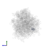 Large ribosomal subunit protein eL30 in PDB entry 6om0, assembly 1, side view.