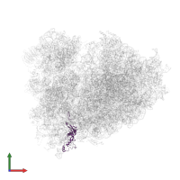 Small ribosomal subunit protein eS8 in PDB entry 6om0, assembly 1, front view.