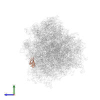 Small ribosomal subunit protein eS24 in PDB entry 6om7, assembly 1, side view.