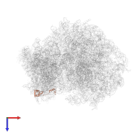 Small ribosomal subunit protein eS24 in PDB entry 6om7, assembly 1, top view.