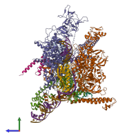 PDB entry 6omf coloured by chain, side view.