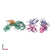 PDB entry 6oor coloured by chain, front view.
