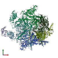 PDB entry 6opc coloured by chain, front view.