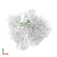 P-site tRNAfMet in PDB entry 6ope, assembly 1, front view.