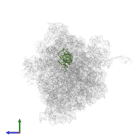 P-site tRNAfMet in PDB entry 6ope, assembly 1, side view.