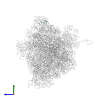 Large ribosomal subunit protein bL31 in PDB entry 6ope, assembly 1, side view.