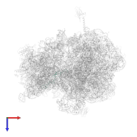 Large ribosomal subunit protein bL31 in PDB entry 6ope, assembly 1, top view.