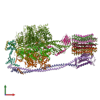 PDB entry 6oqv coloured by chain, front view.