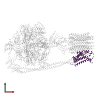 ATP synthase subunit a in PDB entry 6oqw, assembly 1, front view.