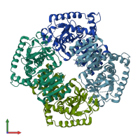 PDB entry 6or9 coloured by chain, front view.