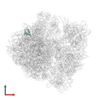 Large ribosomal subunit protein uL30 in PDB entry 6ore, assembly 1, front view.