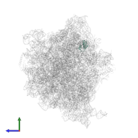 Large ribosomal subunit protein uL30 in PDB entry 6ore, assembly 1, side view.
