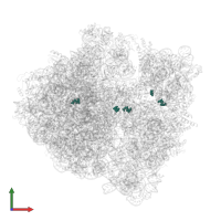 Modified residue 2MG in PDB entry 6ore, assembly 1, front view.