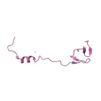 The deposited structure of PDB entry 6osq contains 1 copy of Pfam domain PF01783 (Ribosomal L32p protein family) in Large ribosomal subunit protein bL32. Showing 1 copy in chain DA [auth b].