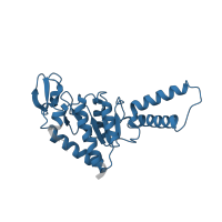 The deposited structure of PDB entry 6osq contains 1 copy of Pfam domain PF00318 (Ribosomal protein S2) in Small ribosomal subunit protein uS2. Showing 1 copy in chain IA [auth g].