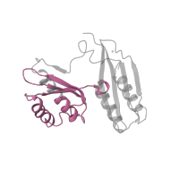 The deposited structure of PDB entry 6osq contains 1 copy of Pfam domain PF07650 (KH domain) in Small ribosomal subunit protein uS3. Showing 1 copy in chain JA [auth h].