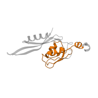 The deposited structure of PDB entry 6osq contains 1 copy of Pfam domain PF03719 (Ribosomal protein S5, C-terminal domain) in Small ribosomal subunit protein uS5. Showing 1 copy in chain LA [auth j].