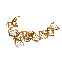 The deposited structure of PDB entry 6osq contains 1 copy of Rfam domain RF00001 (5S ribosomal RNA) in 5S ribosomal RNA. Showing 1 copy in chain C [auth 3].