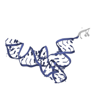 The deposited structure of PDB entry 6osq contains 1 copy of Rfam domain RF00005 (tRNA) in P-tRNA. Showing 1 copy in chain E [auth 5].