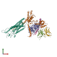 PDB entry 6ot0 coloured by chain, front view.