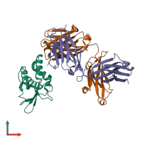 PDB entry 6otc coloured by chain, front view.
