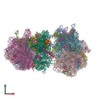 PDB entry 6oxa coloured by chain, front view.