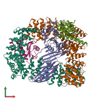 PDB entry 6oxl coloured by chain, front view.