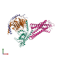 PDB entry 6oy9 coloured by chain, front view.