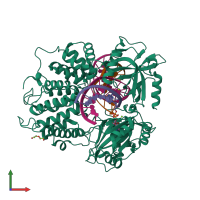 PDB entry 6p0b coloured by chain, front view.