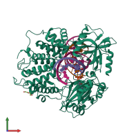 PDB entry 6p0e coloured by chain, front view.