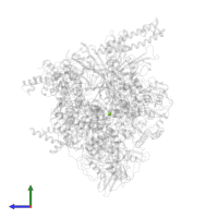 MAGNESIUM ION in PDB entry 6p19, assembly 1, side view.