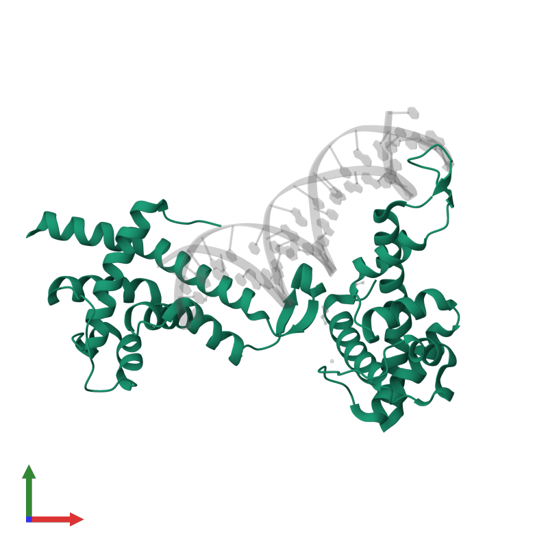 <div class='caption-body'>PDB entry 6p1a contains 2 copies of Q protein in assembly 1. This protein is highlighted and viewed from the front.</div>