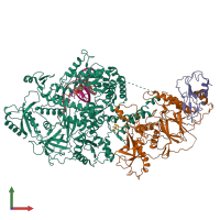 PDB entry 6p1h coloured by chain, front view.