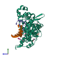 PDB entry 6p1m coloured by chain, side view.