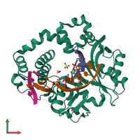 PDB entry 6p1p coloured by chain, front view.