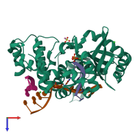 PDB entry 6p1q coloured by chain, top view.