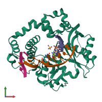 PDB entry 6p1r coloured by chain, front view.