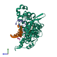 PDB entry 6p1r coloured by chain, side view.