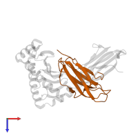 Beta-2-microglobulin in PDB entry 6p27, assembly 1, top view.