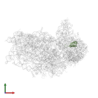 Small ribosomal subunit protein uS10 in PDB entry 6p4g, assembly 1, front view.