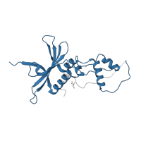 The deposited structure of PDB entry 6p59 contains 2 copies of Pfam domain PF00559 (Retroviral Vif (Viral infectivity) protein) in Virion infectivity factor. Showing 1 copy in chain H [auth B].